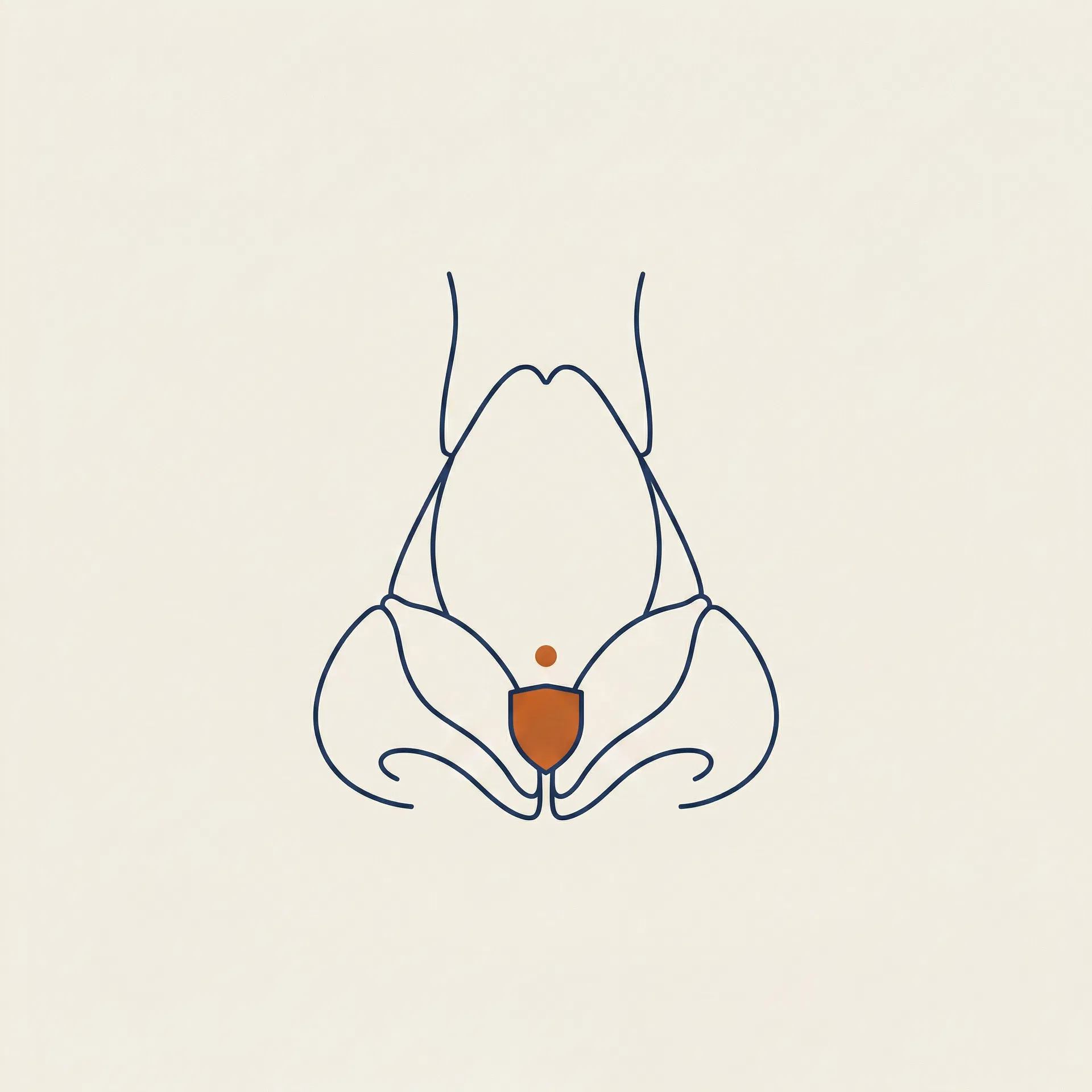 Tip Augmentation surgical diagram