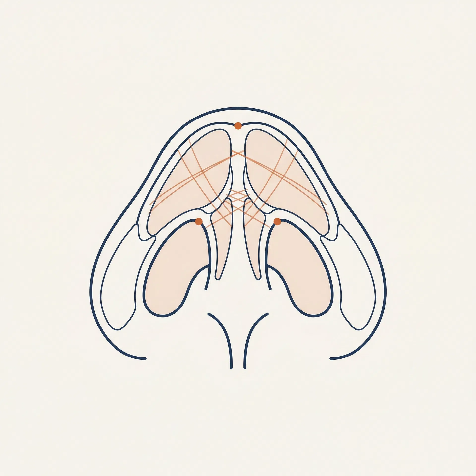 Tip Suture Techniques surgical diagram