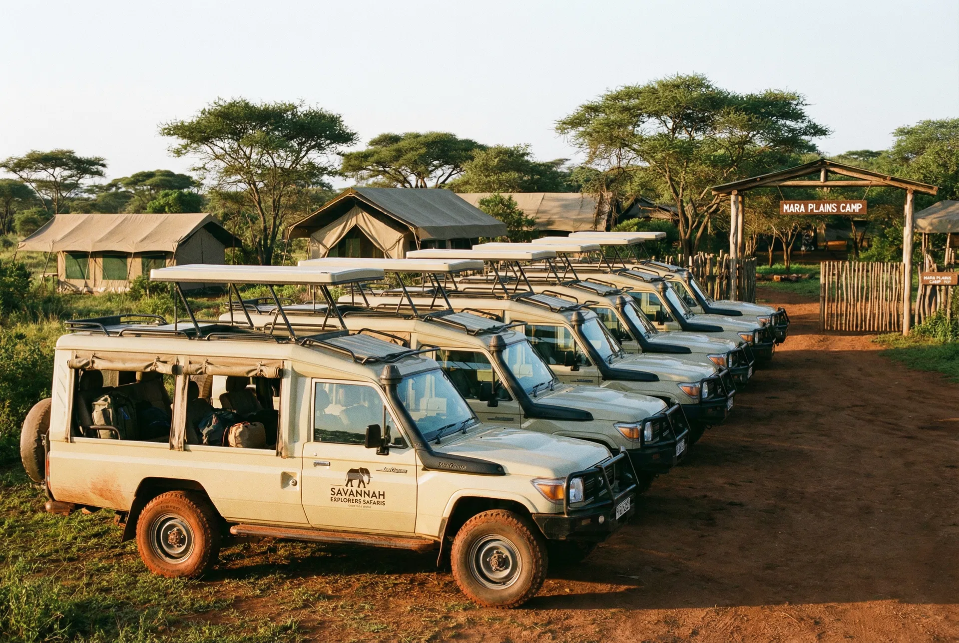 How to Choose a Safari Operator You Can Trust