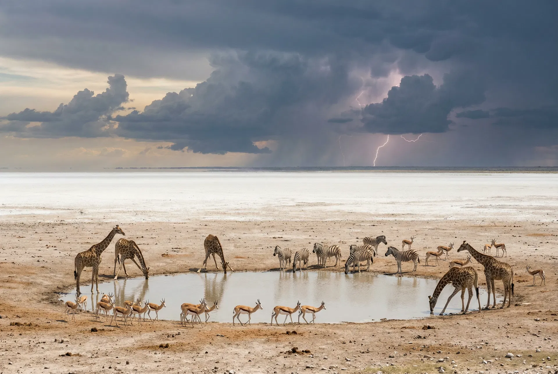 Etosha National Park