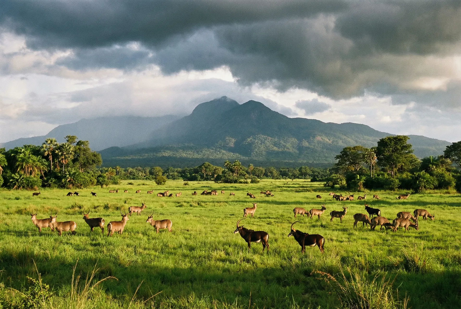 Gorongosa National Park