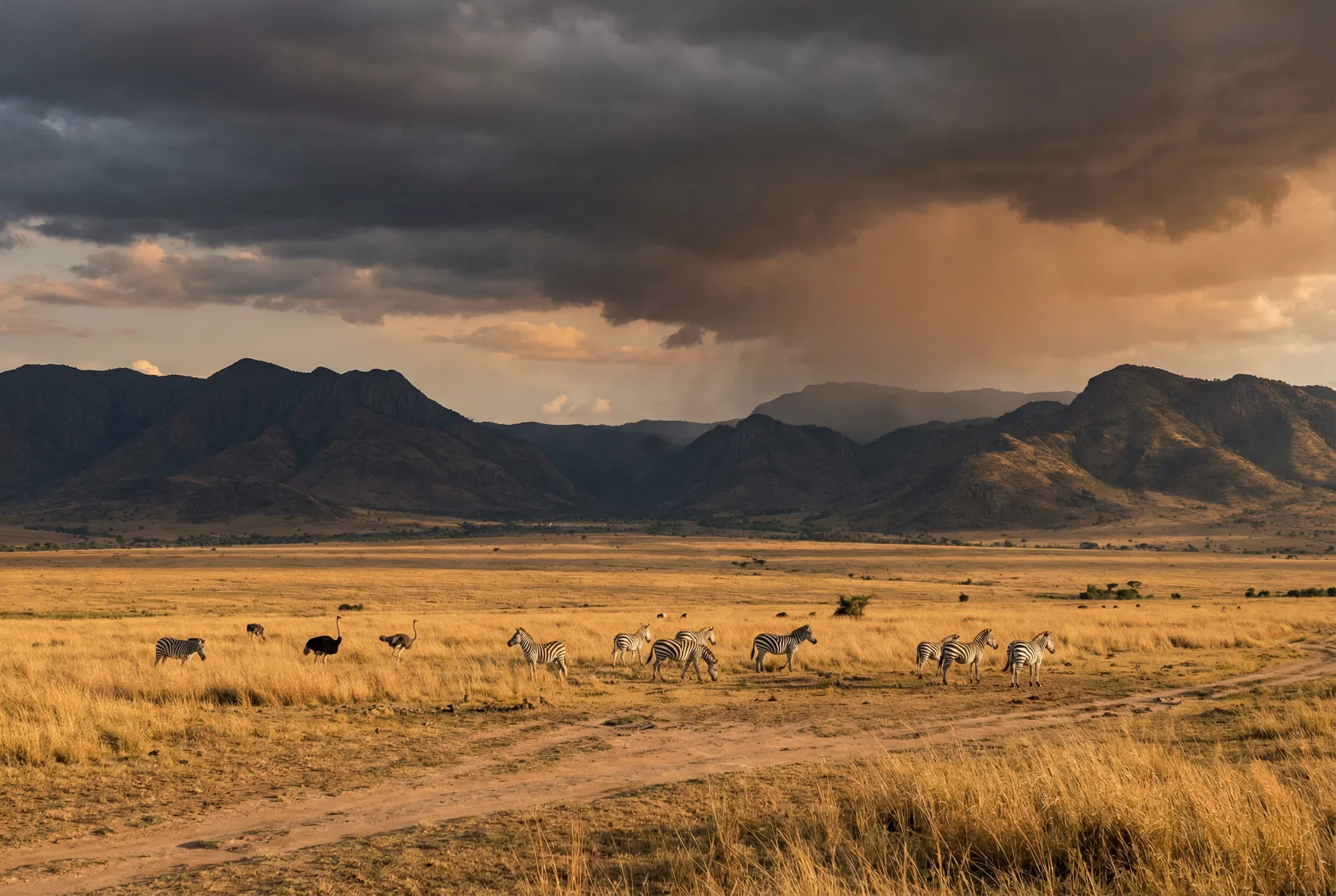 Kidepo Valley National Park
