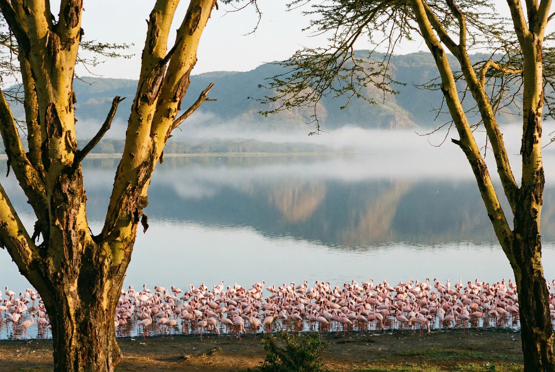 Lake Nakuru National Park