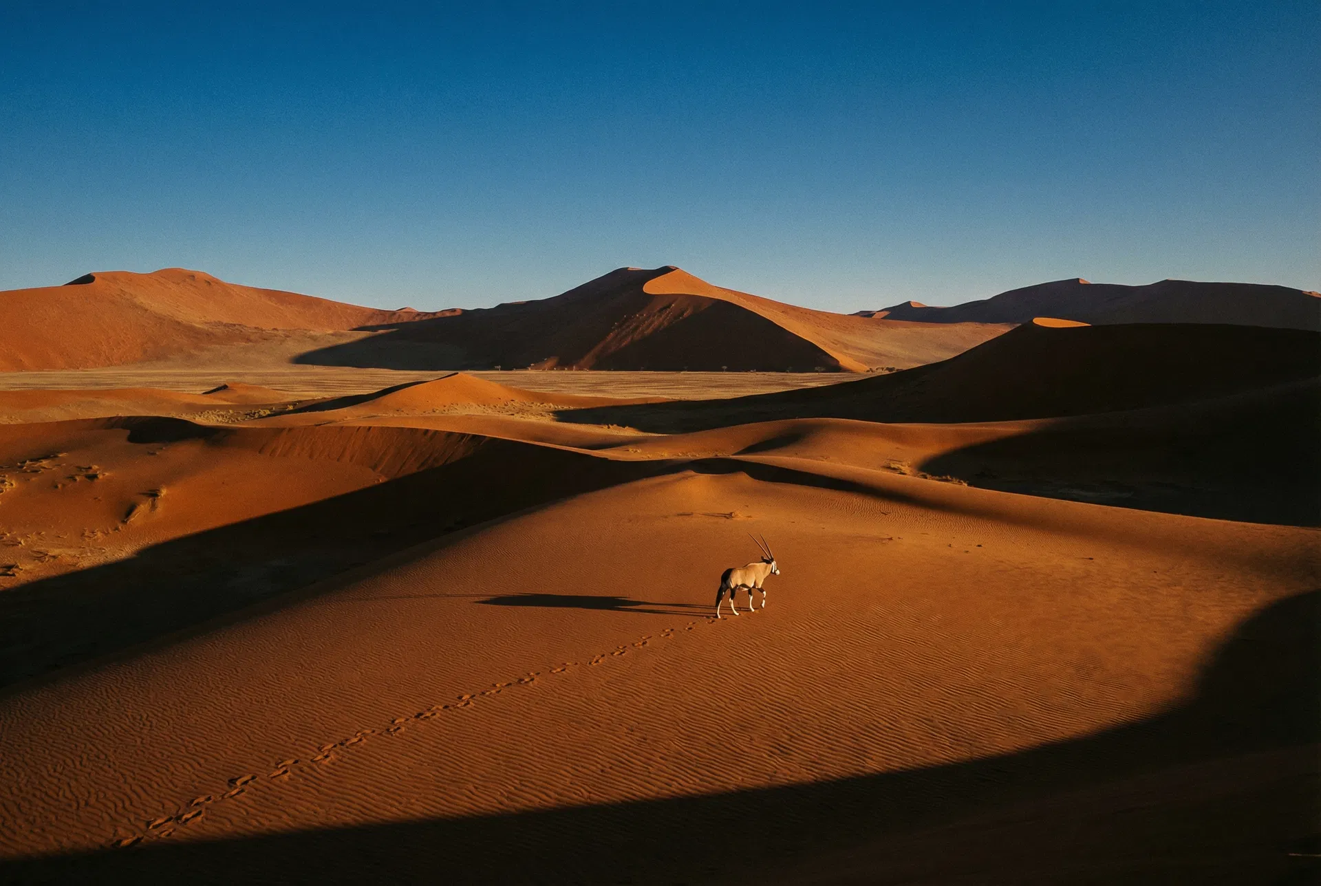 Namib Desert