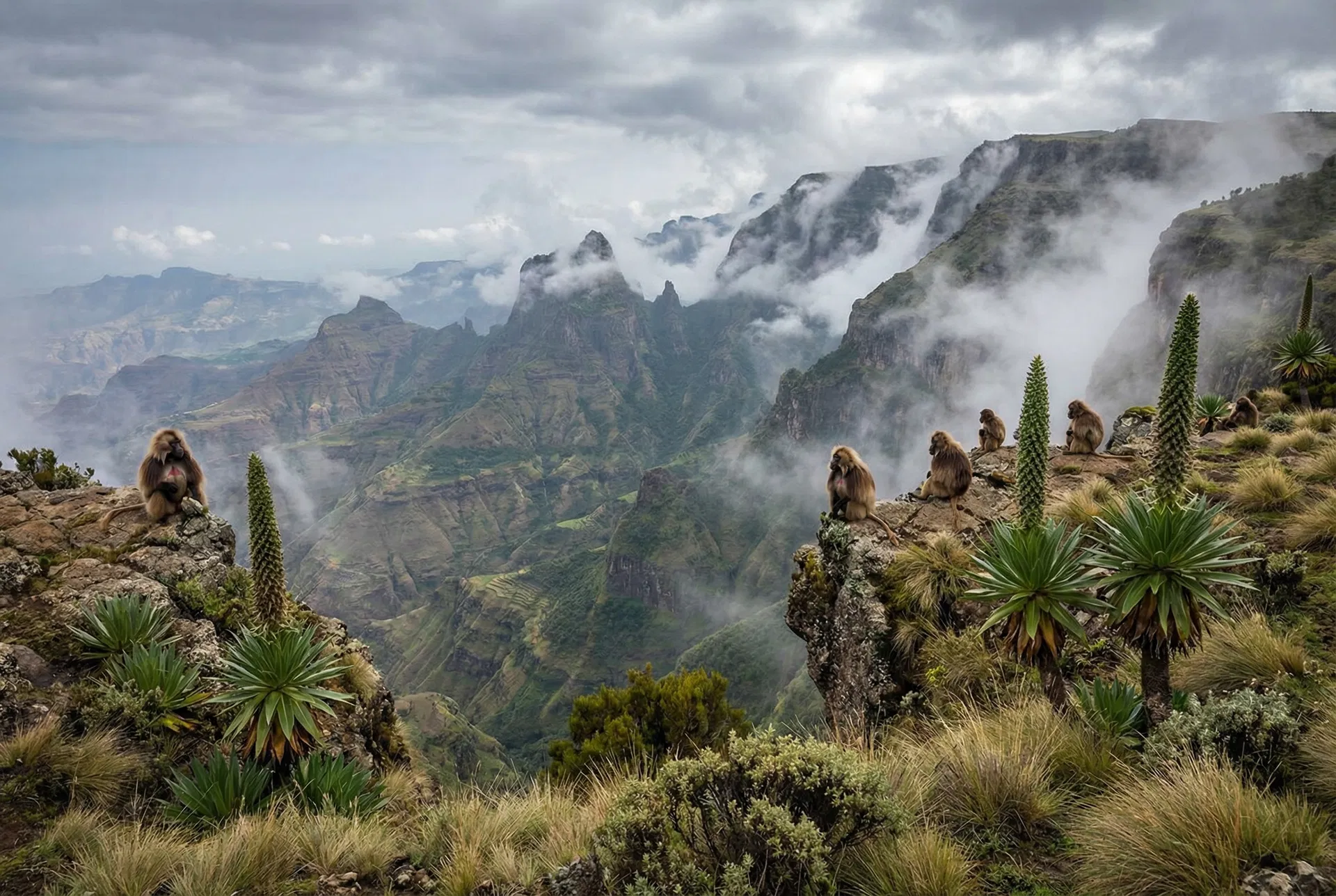 Simien Mountains National Park