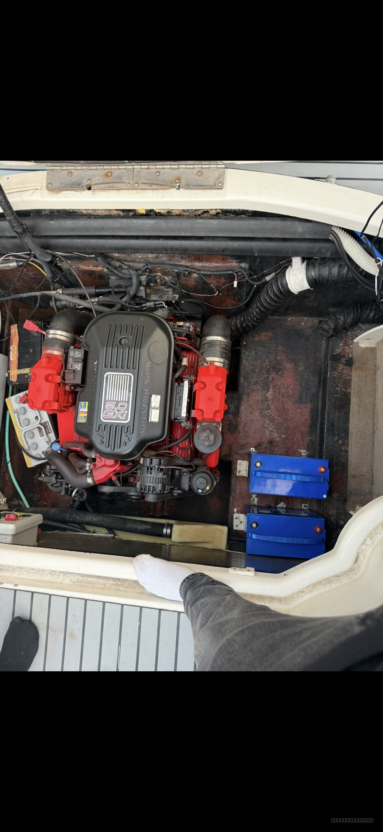 Stingray 250 cs fotoğraf 7