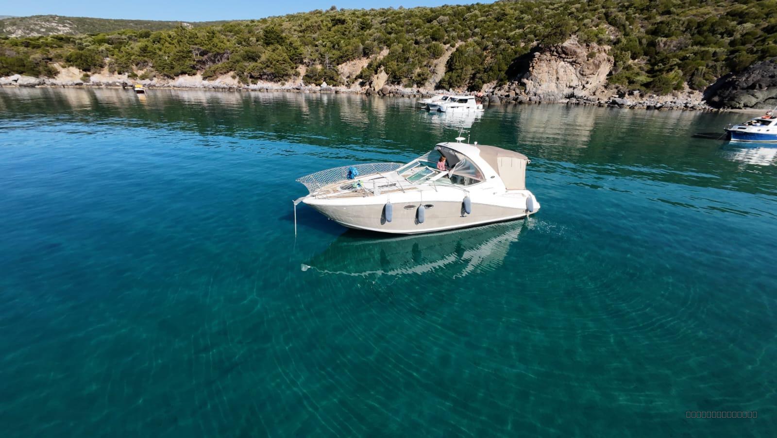 Searay Sundancer  325 2006