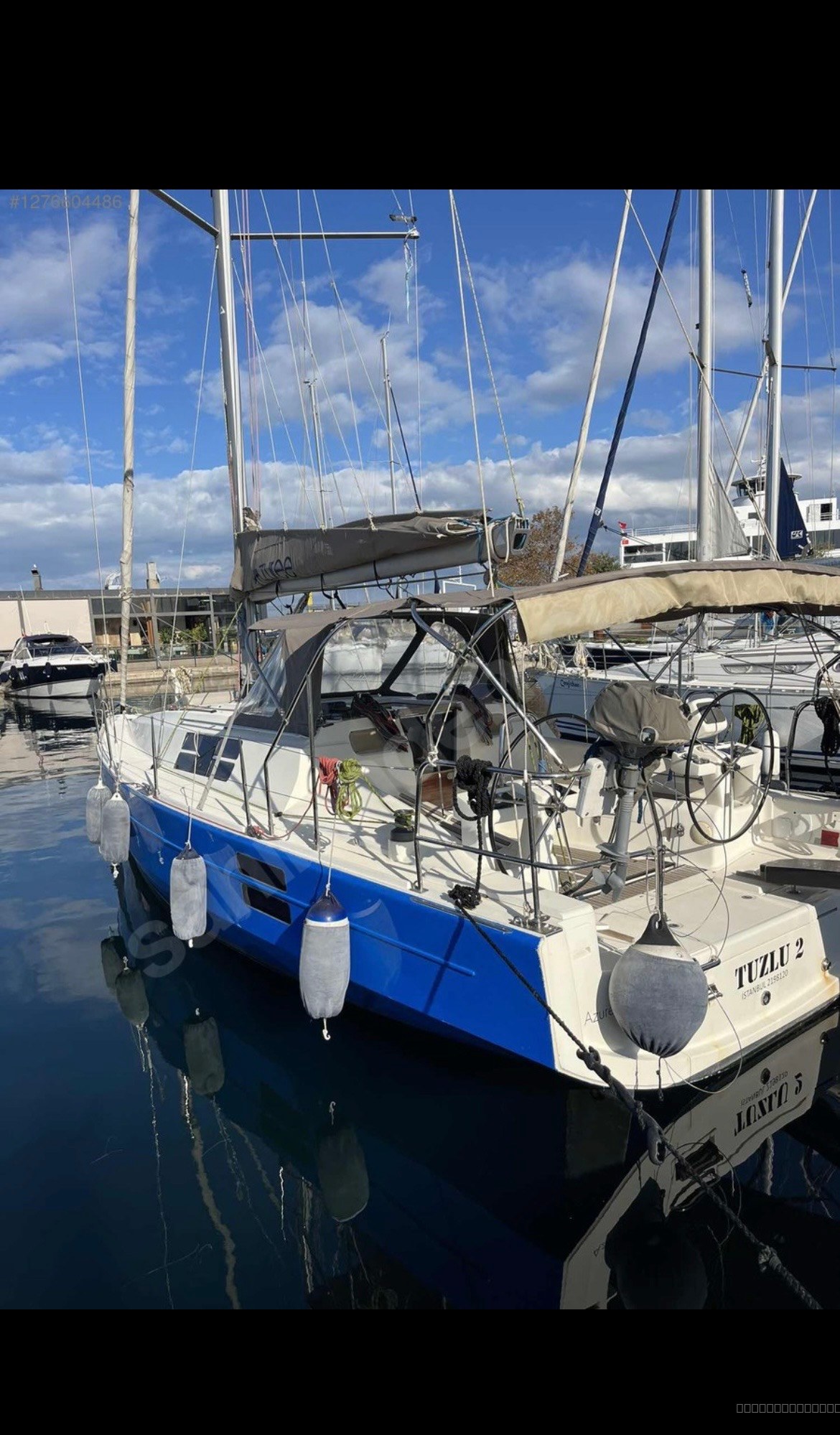 Azuree 33
