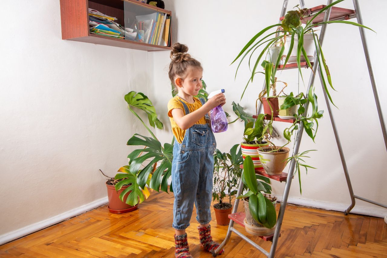 Plantele toxice din casă: Află care sunt pericolele pentru copii!