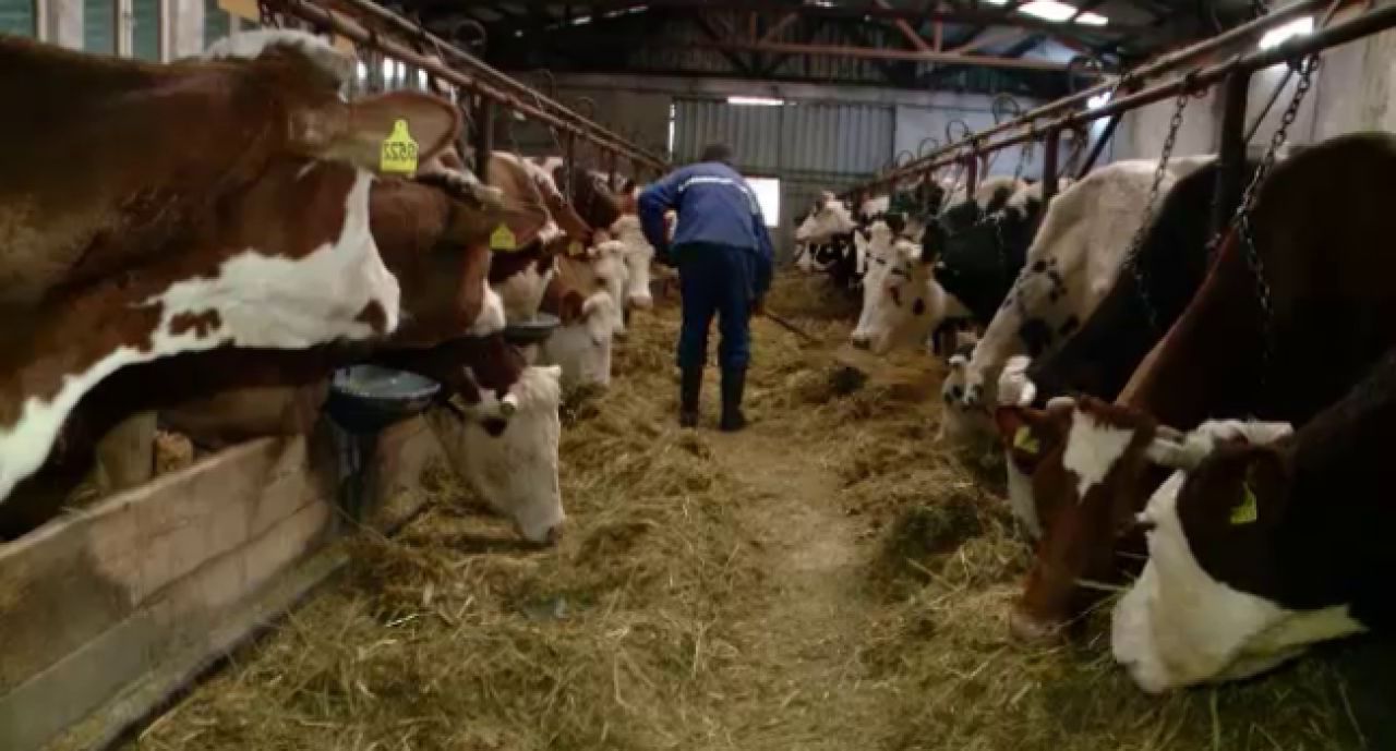 O veste uriașă pentru economia României! China deschide porțile pentru produsele noastre alimentare