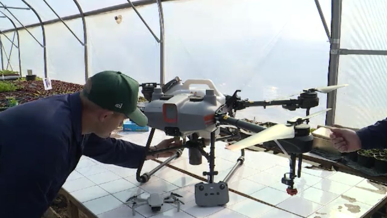 Școlile-pilot revoluționează programa: robotică, drone și nutriție pentru viitorul elevilor!