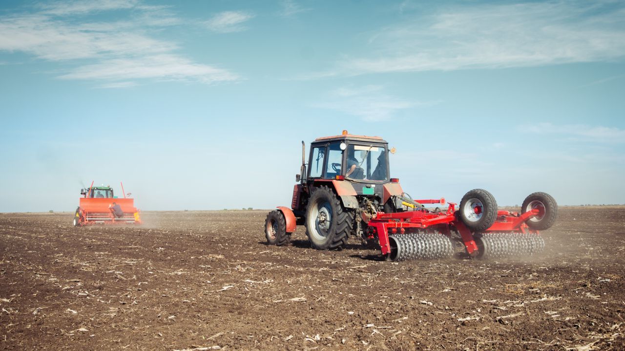 Nanoplasticele din plante: risc invizibil pentru sănătate, avertizează experții