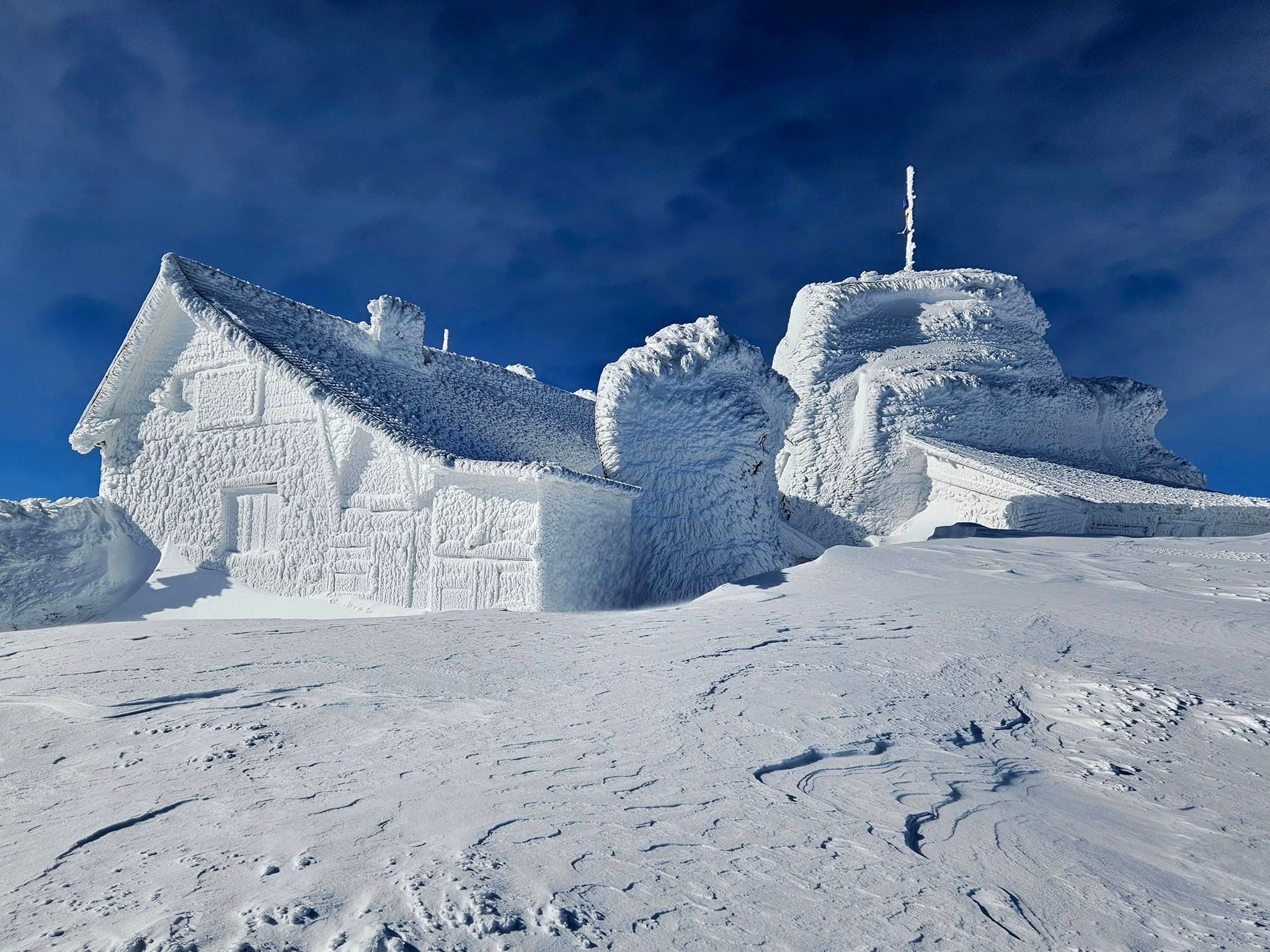 Viața pe Vârful Omu: Meteorologii, înconjurați de vulpi, corbi și o pisică mascotă!