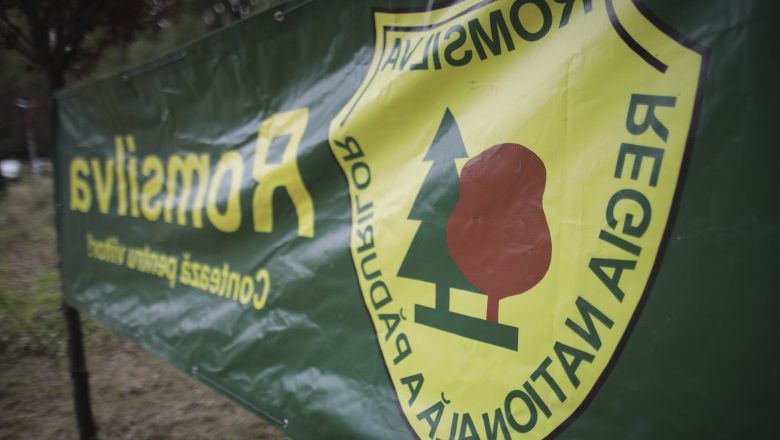 Victorie pentru Mediu: Instanța menține reforma Romsilva, respingând suspendarea reorganizării!