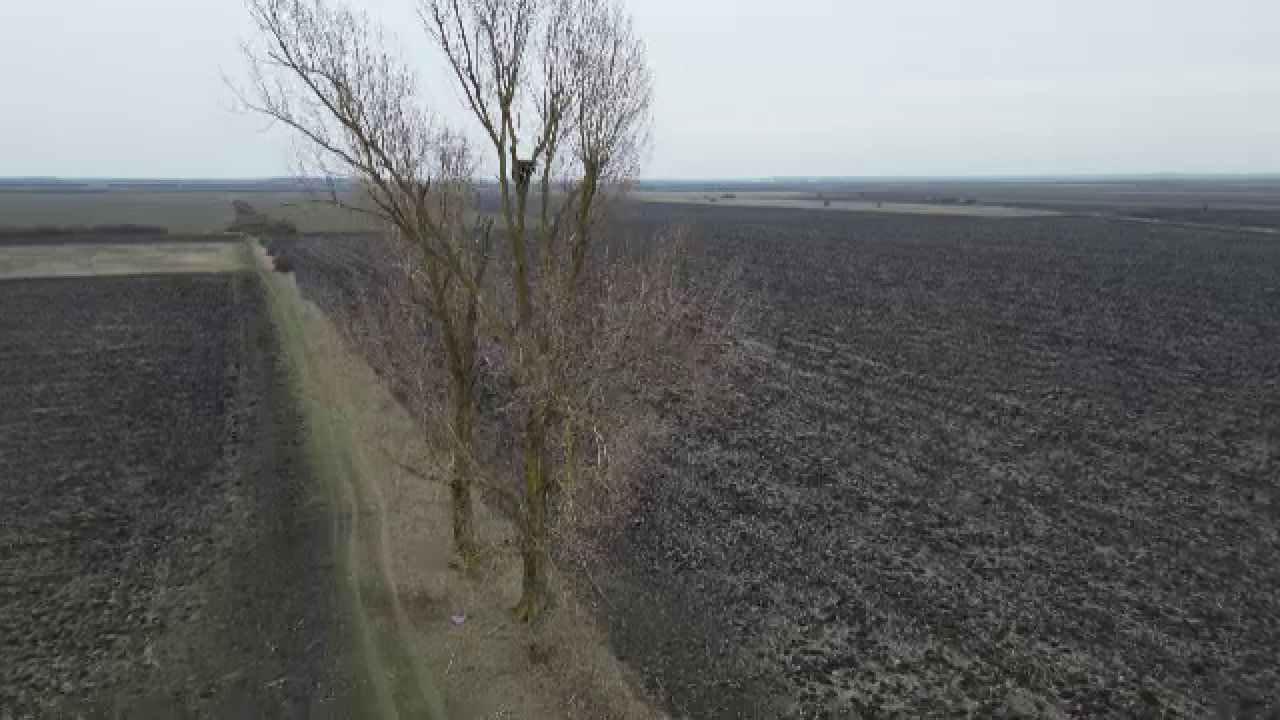 După 50 de ani, a revenit! Animalul misterios, monitorizat de specialiști români și străini