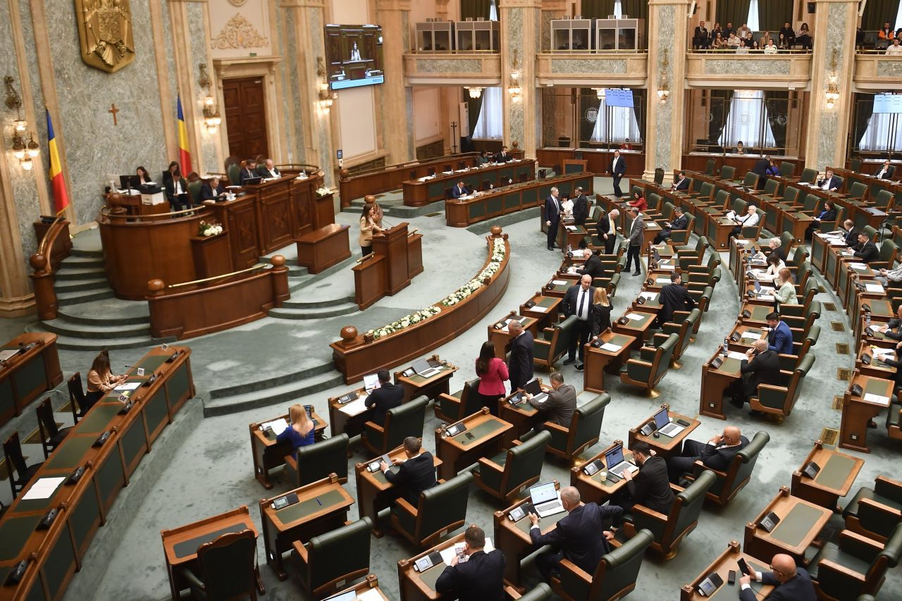 Scrisoarea Oanei Gheorghiu înfurie PSD, AUR și PACE: "Un motiv în plus să votăm moțiunea!"