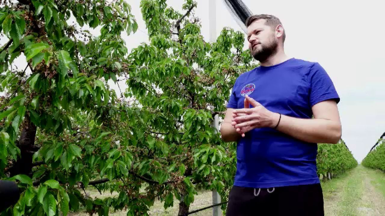 România, paradoxul antreprenorial: locul 3 în UE, dar mii de firme eșuează. Află secretul succesului!