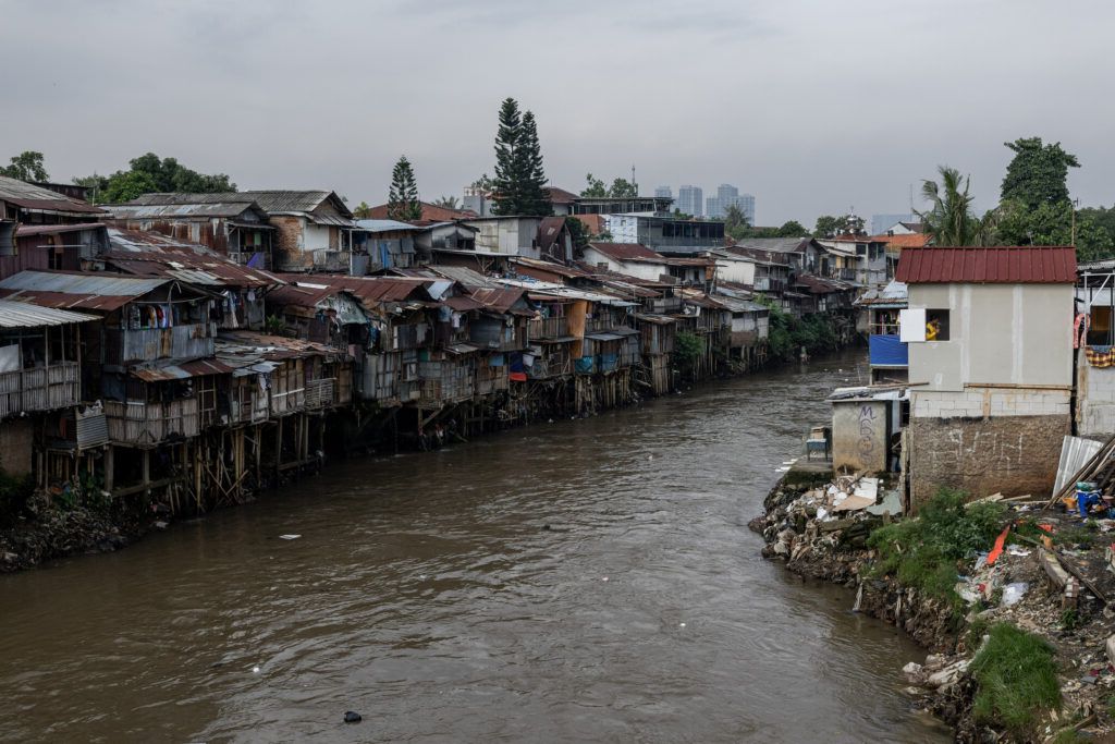 Peștele mutant din Indonezia: Un activist avertizează, "Este complet nebunesc!"