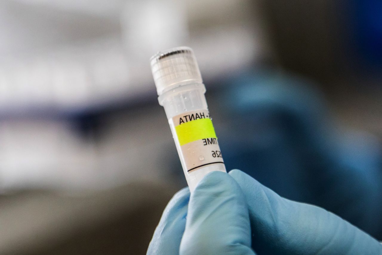 Suspiciune de hantavirus în Spania: O femeie, cu simptome grave după o croazieră pe nava Hondius