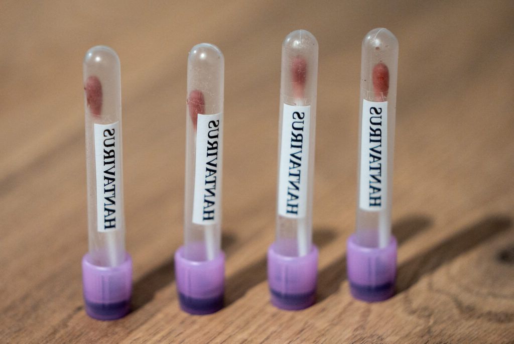 Hantavirus pe navă: OMS pregătește ghid de urgență pentru pasageri