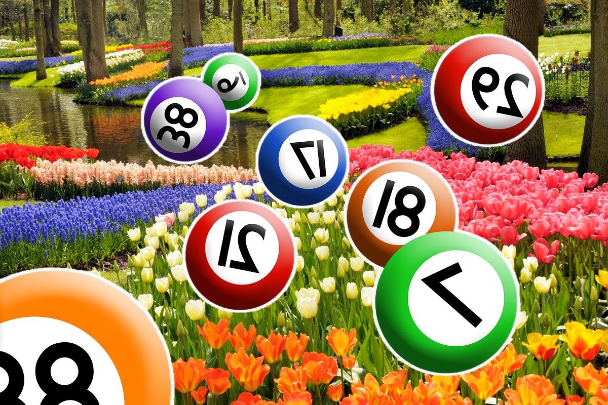Loto 6/49: Report uriaș de peste 4,36 milioane de euro la categoria I!