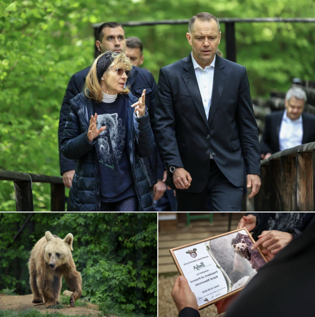 Președintele Poloniei a adoptat un urs în România. Faceți cunoștință cu Batyr!