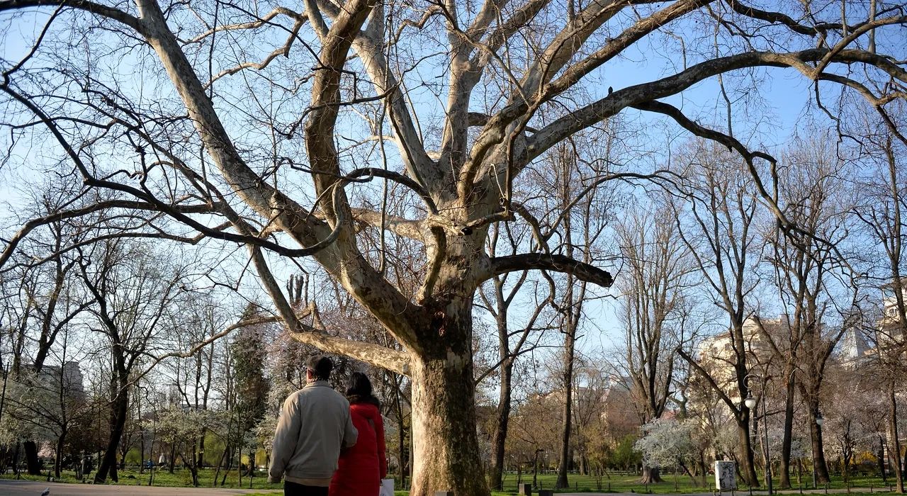 Weekend cu vreme schimbătoare: Primăvară, dar și Cod Galben de vânt!