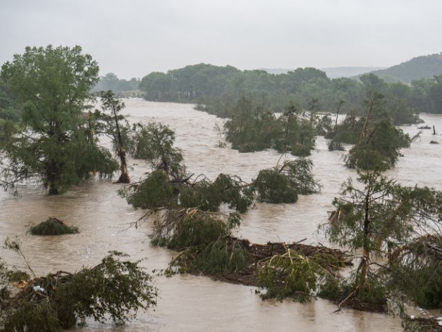 Google lansează un instrument AI cu Gemini pentru a prezice inundațiile