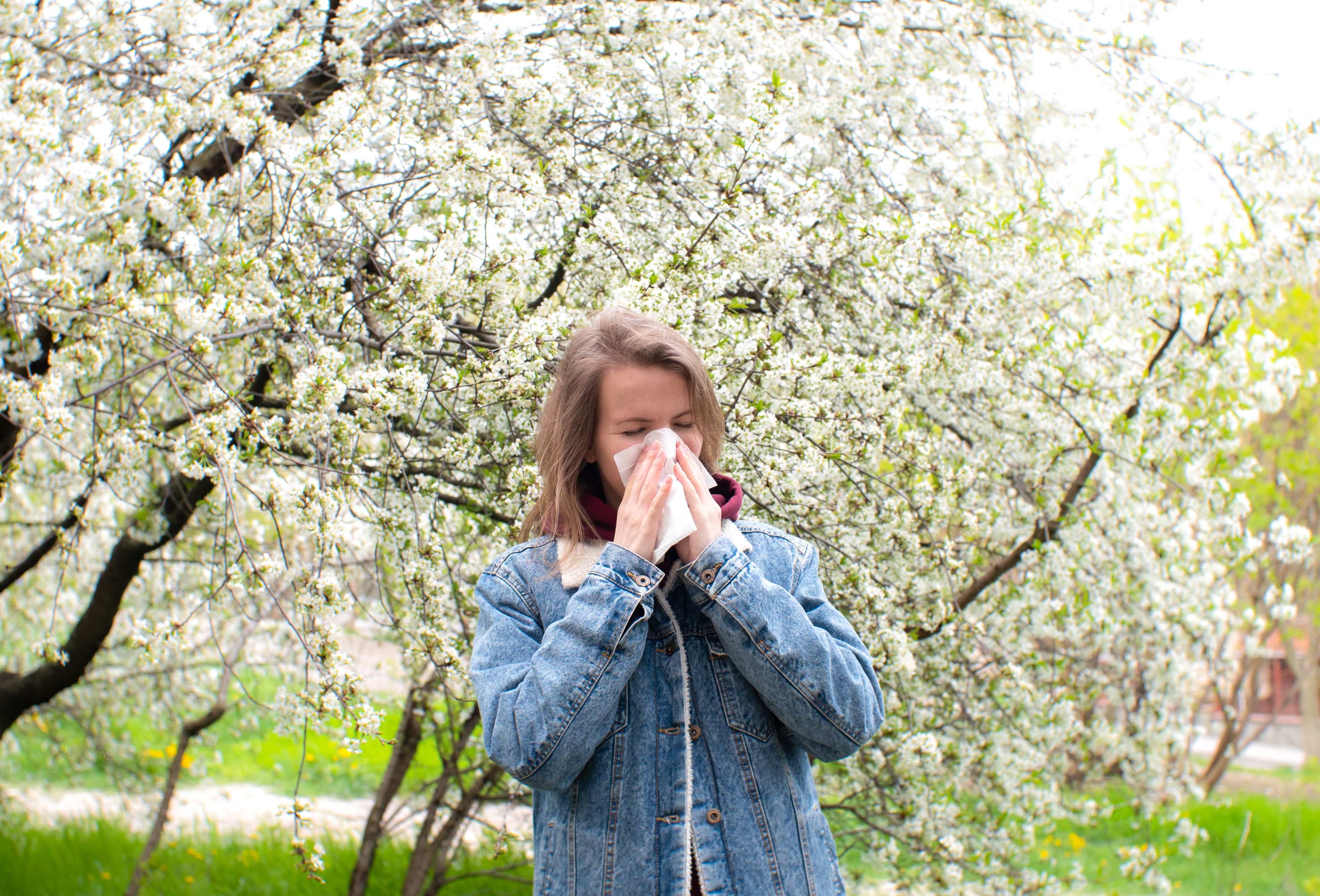 Alergii de primăvară: Deosebește-le de răceală și află sfaturi esențiale de la medici!