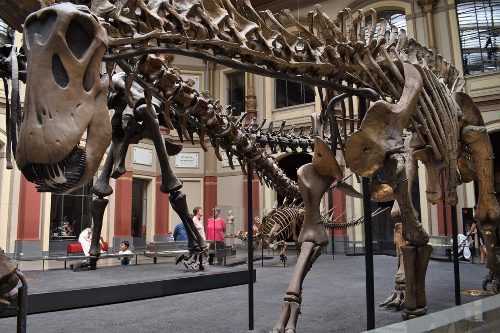 Apocalipsa uitată: Prima extincție în masă din istoria Pământului, ascunsă sub ochii noștri