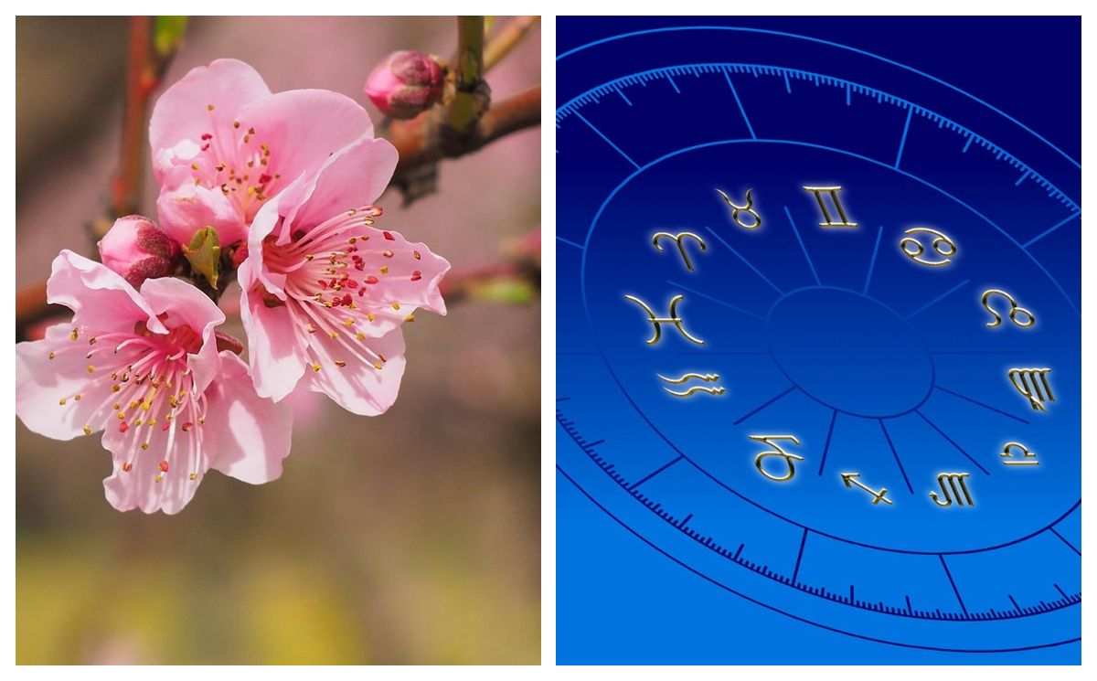 Trei zodii radiază de fericire în weekend: Cine își îndeplinește cel mai mare vis?