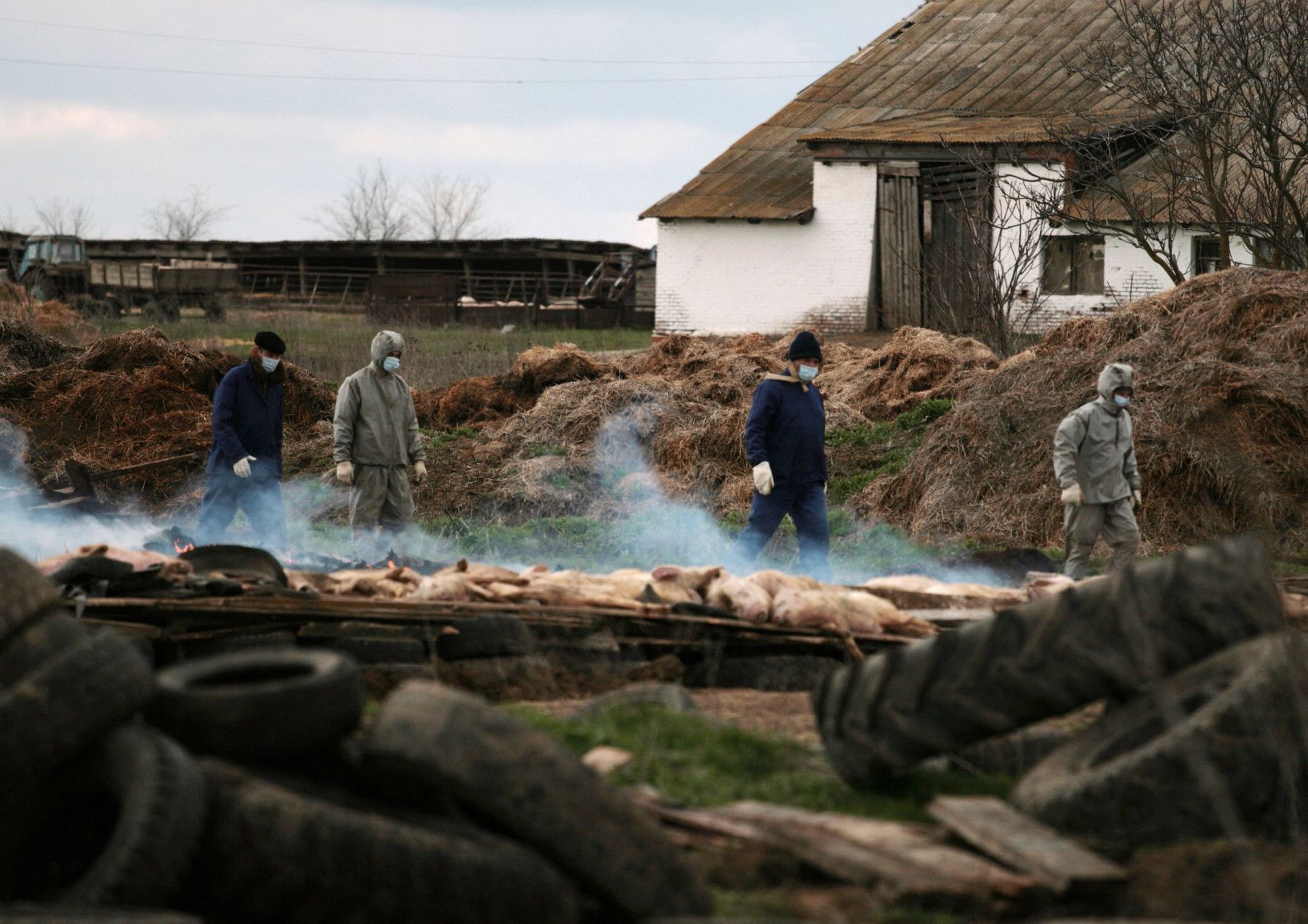 Rusia: Statul ucide animalele fermierilor din cauza unei boli misterioase și nenumite.