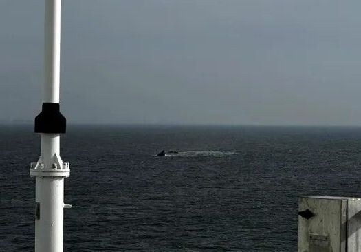 Căutări neîncetate: Remorcherul „Astana” scufundat la Midia, încă dispărut