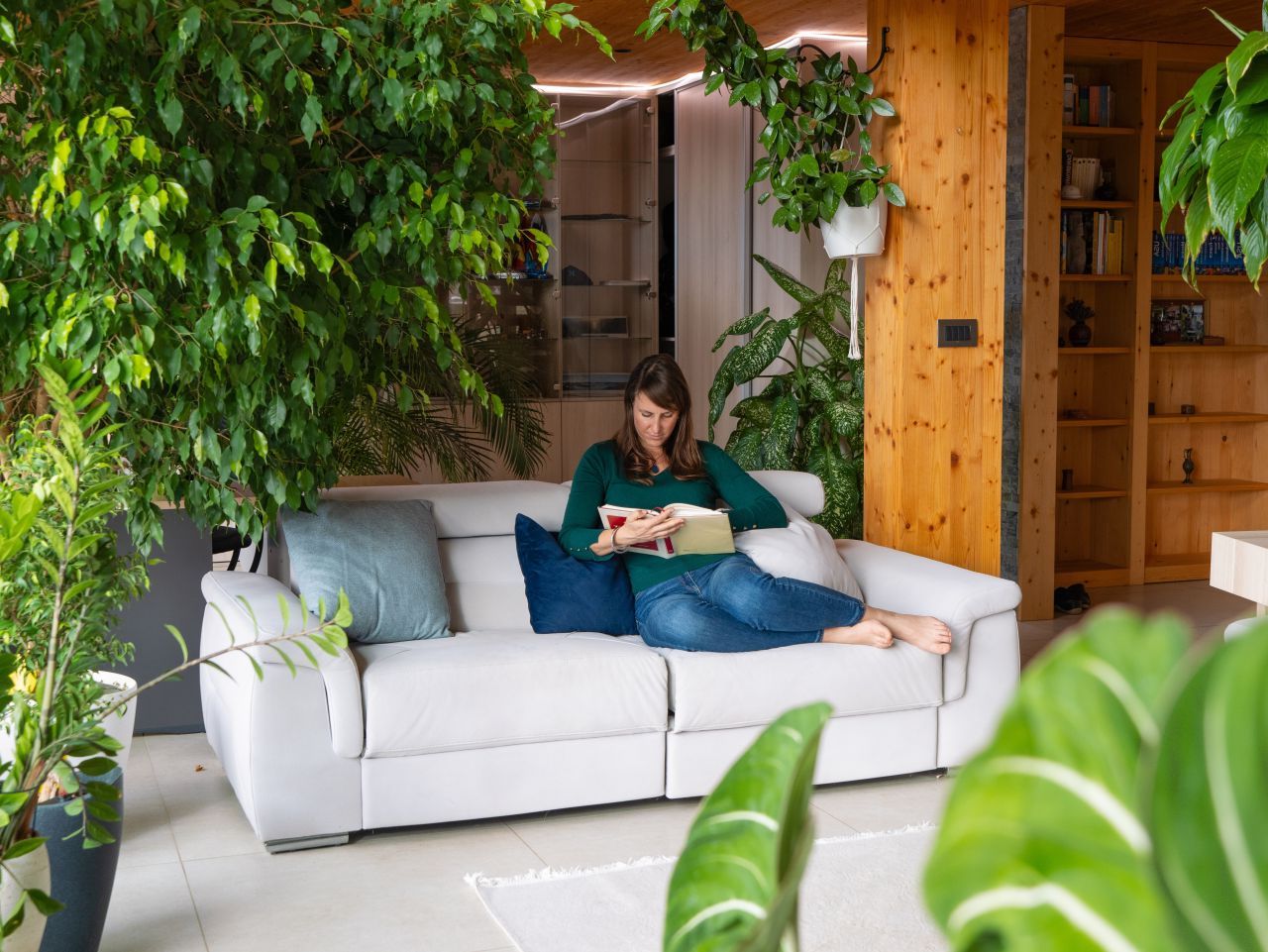 Adu norocul și prosperitatea în casa ta! Plantele Feng Shui care îți transformă energia