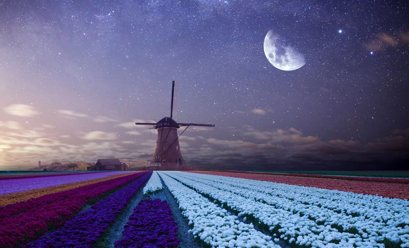 Zodiile norocoase până în aprilie 2026: Cine sunt favoriții astrelor la abundență?