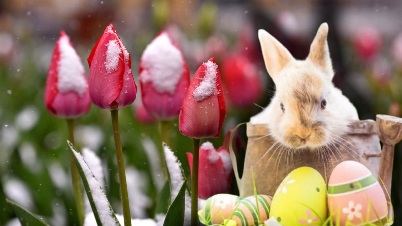 Surpriză de Paște: Unde va ninge? Meteorologii anunță fenomene meteo neobișnuite!