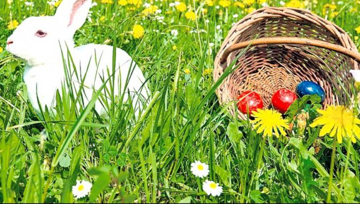 Prognoza meteo de Florii și Paște: De la frig la 20 de grade, apoi revin ploile!