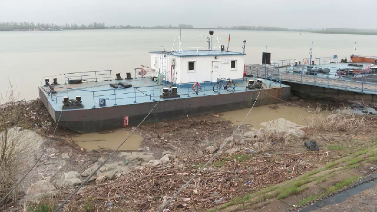 Dunărea, sufocată de gunoaie după viituri! Malurile Galațiului, un dezastru ecologic.