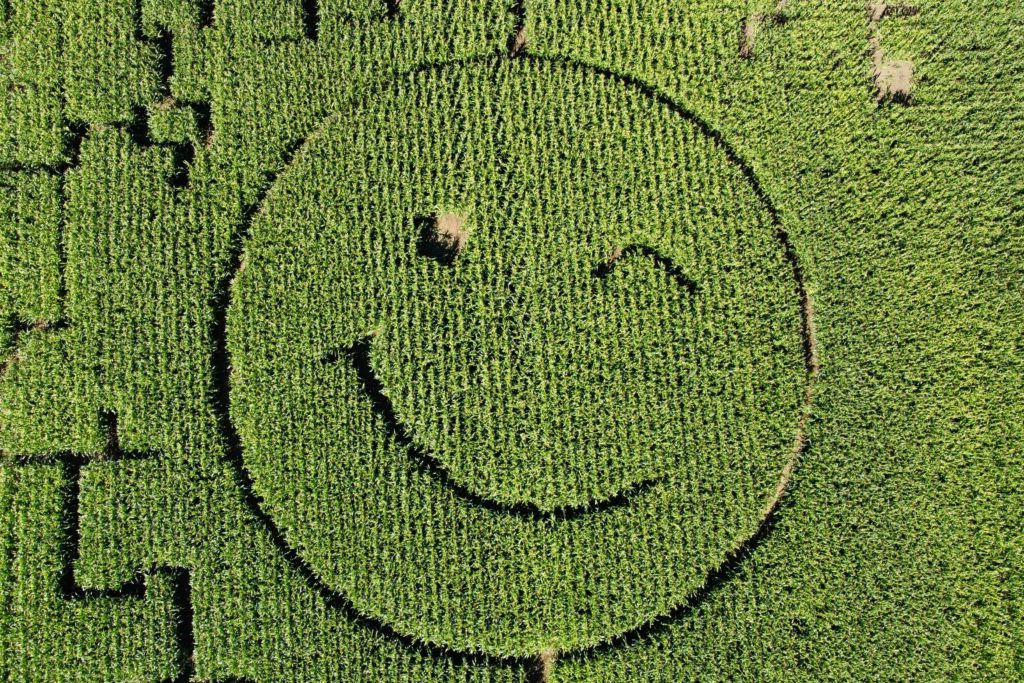 Europa domină topul: Descoperă cele mai politicoase țări din lume!