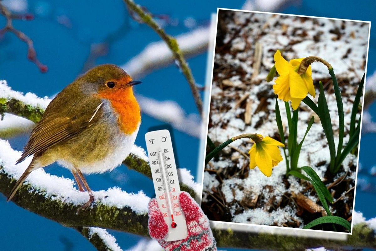 Adio ninsori! Meteorologii anunță ultima zi cu fulgi din această primăvară și o schimbare radicală de vreme