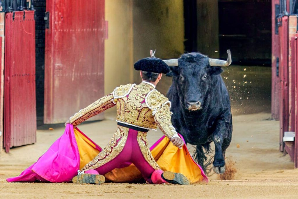 Fost toreador, ucis de un taur furios în culisele arenei din Málaga