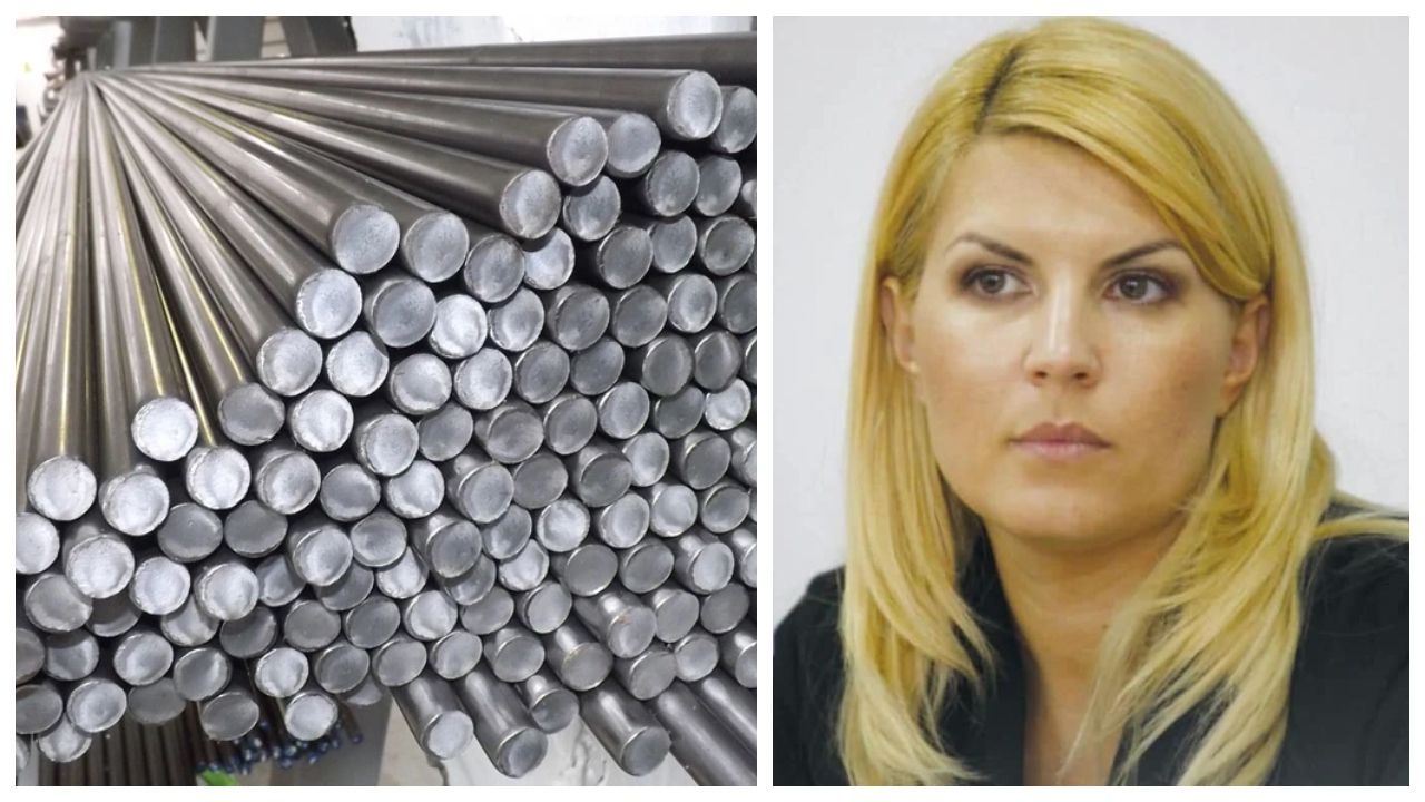 Udrea, revoltată de vânzarea fabricii din Roman: „Dacă o ia un român e corupție, dacă o ia un ucrainean e solidaritate!”