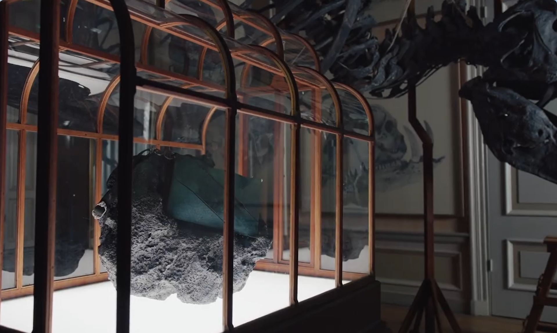 Geanta de mână din colagen de dinozaur, scoasă la licitație pentru o jumătate de milion de dolari