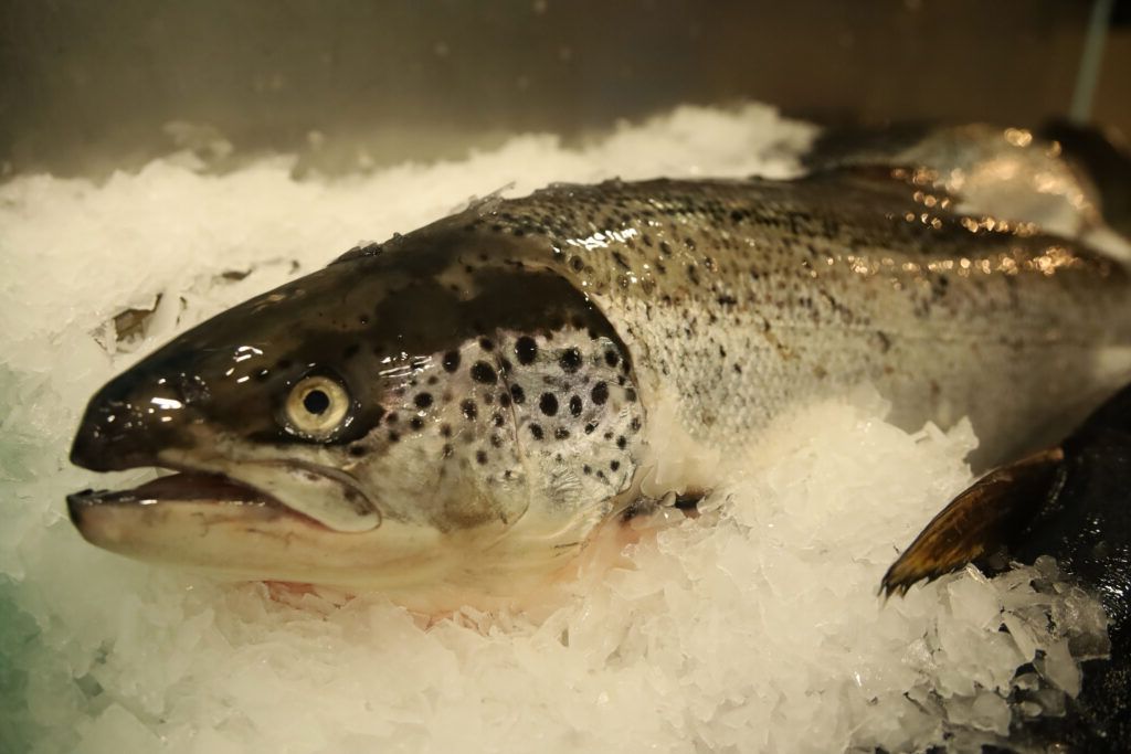 Peștele românesc, pe cale de dispariție? Importăm masiv!