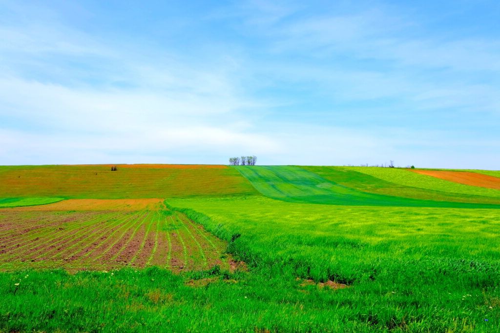 Fermierii europeni, în criză! Cer ajutor de urgență la Bruxelles