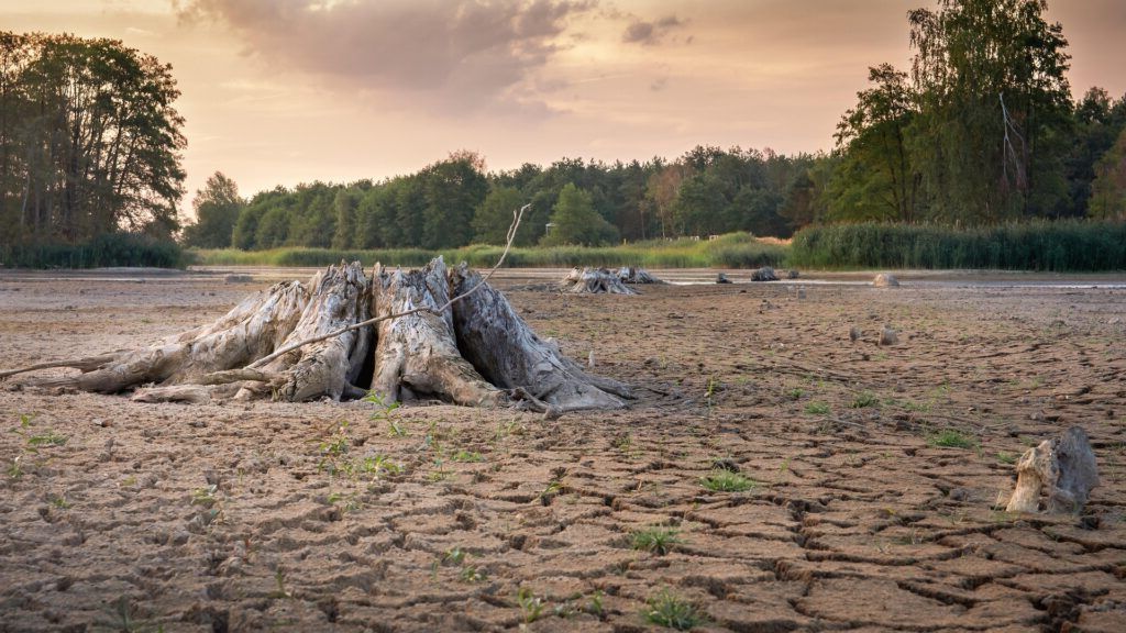 Secetele, un teren fertil pentru bacteriile rezistente la antibiotice. Un pericol nevăzut!
