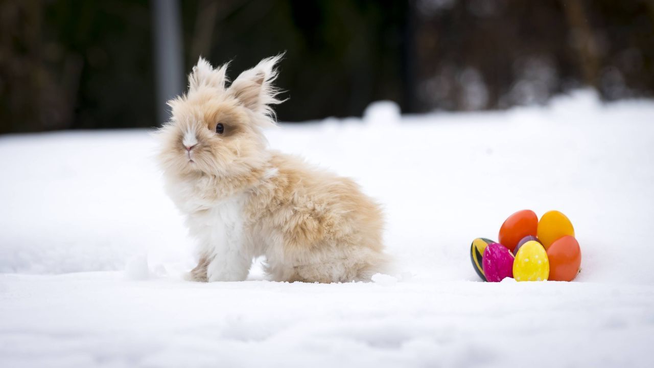 Vremea de Paște: Frig, ploi și ninsori! Vezi harta codurilor de vreme rea și temperaturile de Înviere