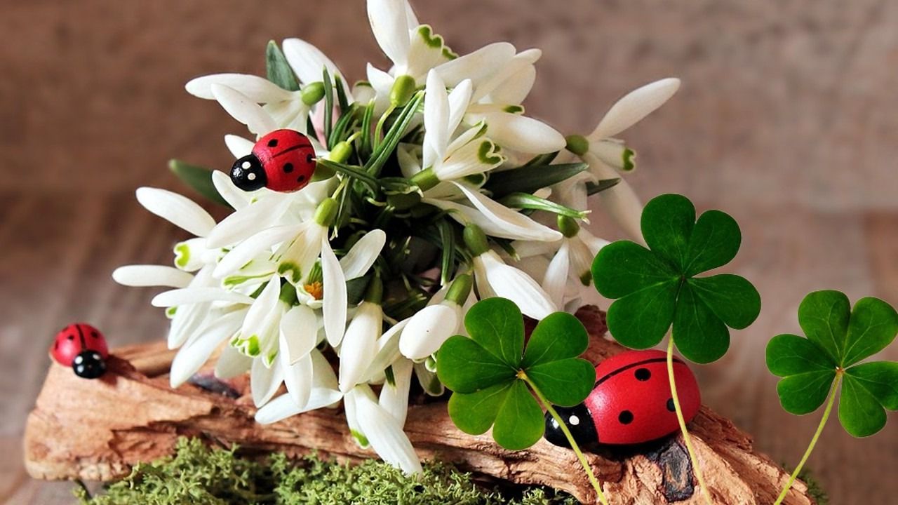 Horoscop 10 aprilie 2026: Atenție la cheltuieli! Nu te lăsa purtat de dorința de a impresiona.