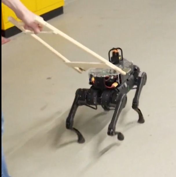 Roboții fură joburi chiar și câinilor: faceți cunoștință cu ghidul robot pentru nevăzători