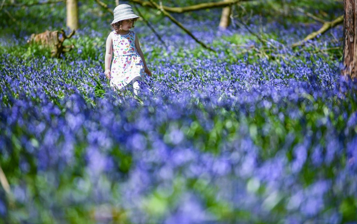 Vremea în următoarele 4 săptămâni: cald, dar cu ploi obișnuite. Ce ne așteaptă?